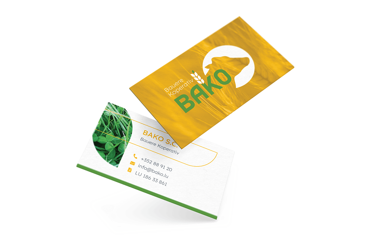 Projekte