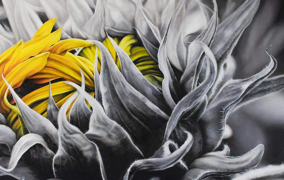 Anita Faber - Projets