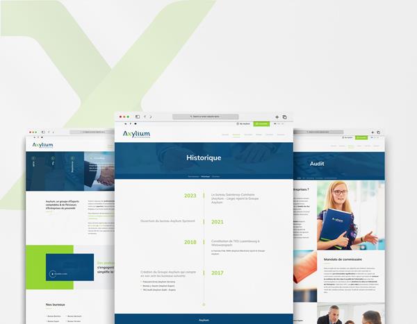 Axylium - Projets