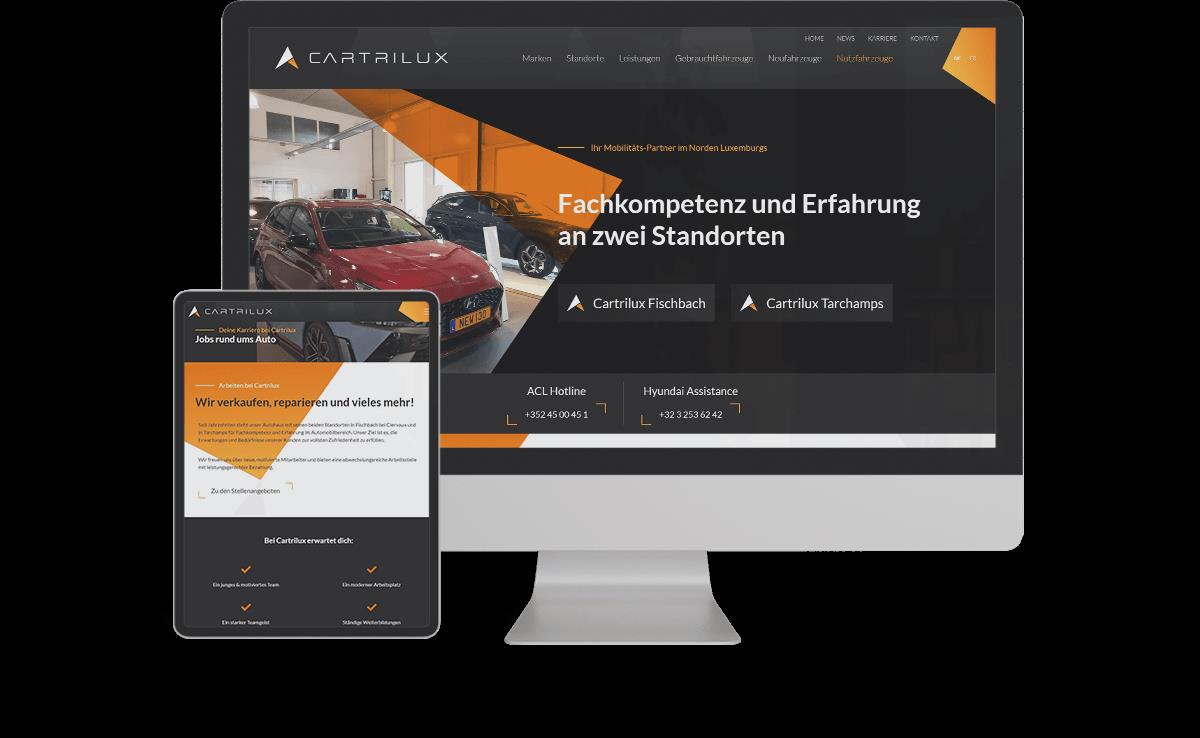Cartrilux - Projekte