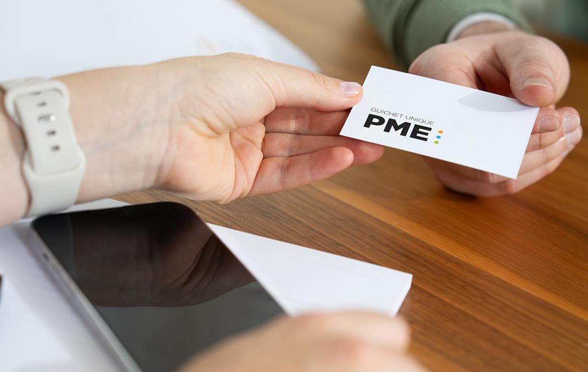 Guichet Unique PME - Projets